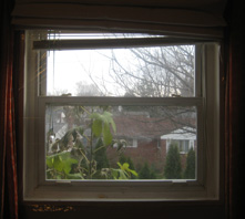 Window Insulation